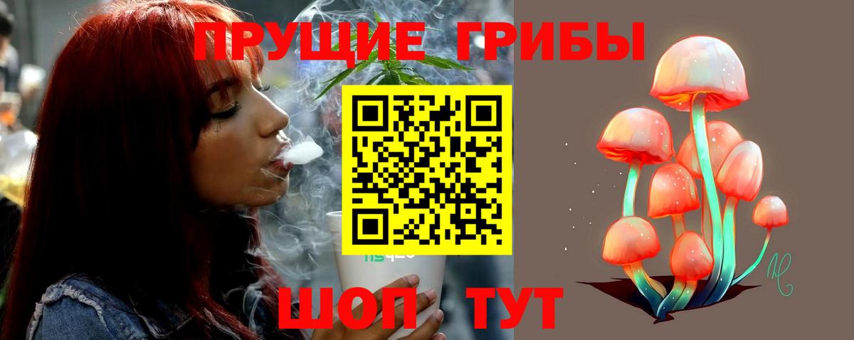Железноводск  Псилоцибиновые грибы GOLDEN TEACHER  даркнет сайт  Вход с VPN 